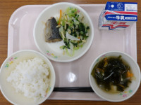 IMGP0895