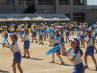 IMGP2711