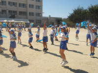 IMGP2715